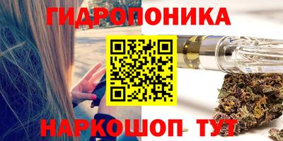 стаф Кандалакша