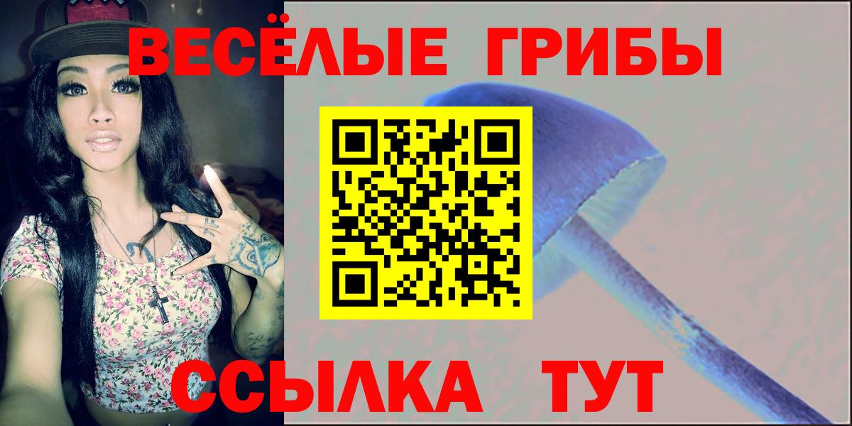 продажа наркотиков  Вход с VPN  Корсаков  Галлюциногенные грибы мухоморы 